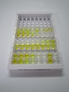 Salusin肽β(SALb)检测试剂盒(酶联免疫吸附试验法)