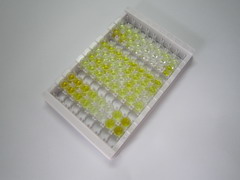 α白蛋白(AFM)检测试剂盒(酶联免疫吸附试验法)
