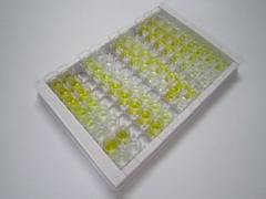 18kDa陽離子抗菌肽(CAMP)檢測試劑盒(酶聯(lián)免疫吸附試驗(yàn)法)