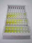 18kDa阳离子抗菌肽(CAMP)检测试剂盒(酶联免疫吸附试验法)