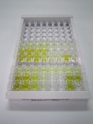 成纤维细胞生长因子21(FGF21)检测试剂盒(酶联免疫吸附试验法)