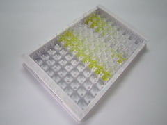 維生素B1(VB1)檢測(cè)試劑盒(酶聯(lián)免疫吸附試驗(yàn)法)