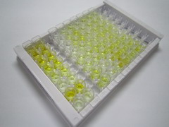 胰高血糖素樣肽2(GLP2)檢測試劑盒(酶聯(lián)免疫吸附試驗法)