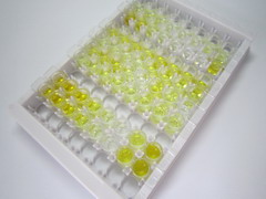 爱帕琳肽(APLN)检测试剂盒(酶联免疫吸附试验法)
