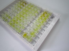 血红蛋白γ1(HBg1)检测试剂盒(酶联免疫吸附试验法)