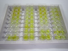 胸腺素β10(TMSb10)检测试剂盒(酶联免疫吸附试验法)