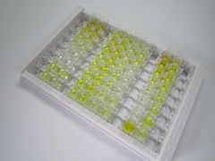 饥饿素/肥胖抑制素前激素原(GHRL)检测试剂盒(酶联免疫吸附试验法)