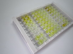 胰島素樣蛋白3(INSL3)檢測試劑盒(酶聯(lián)免疫吸附試驗(yàn)法)