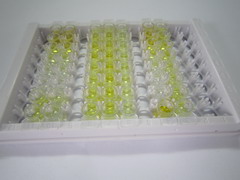 维生素B7(VB7)检测试剂盒(酶联免疫吸附试验法)