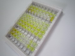 促泌素(SCGN)檢測試劑盒(酶聯(lián)免疫吸附試驗法)