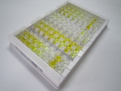 5-羟色氨酸脱羧醇(5-HTP)检测试剂盒(酶联免疫吸附试验法)