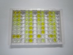 牛磺膽酸(TCA)檢測(cè)試劑盒(酶聯(lián)免疫吸附試驗(yàn)法)