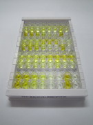 二十二碳六烯酸(DHA)檢測(cè)試劑盒(酶聯(lián)免疫吸附試驗(yàn)法)