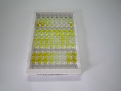 酪醇(Tyr)检测试剂盒(酶联免疫吸附试验法)