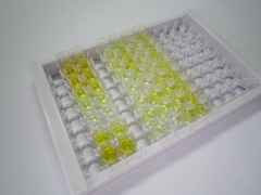 脫氧膽酸(DC)檢測試劑盒(酶聯(lián)免疫吸附試驗(yàn)法)