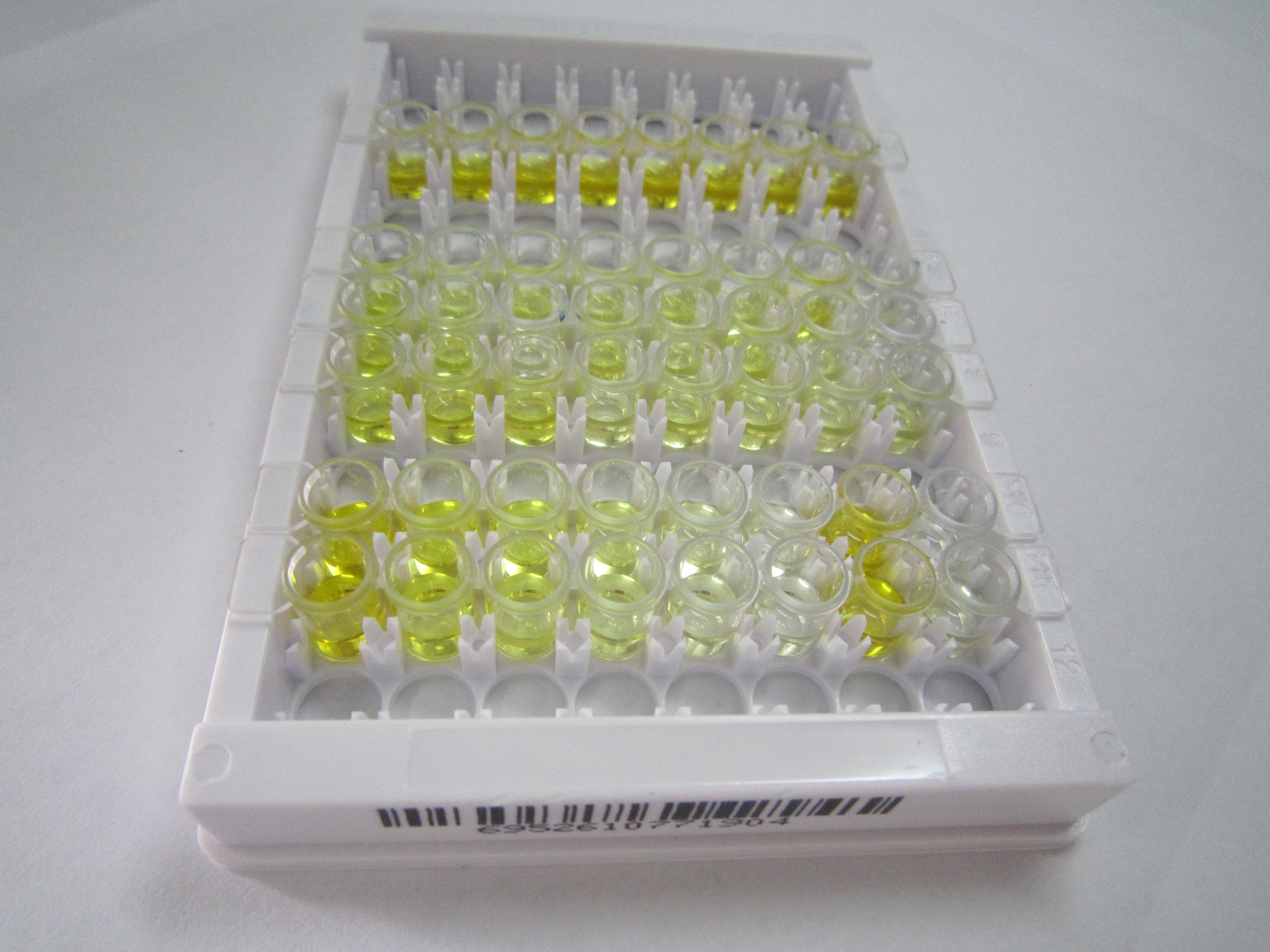 血管紧张素1-9(Ang1-9)检测试剂盒(酶联免疫吸附试验法)