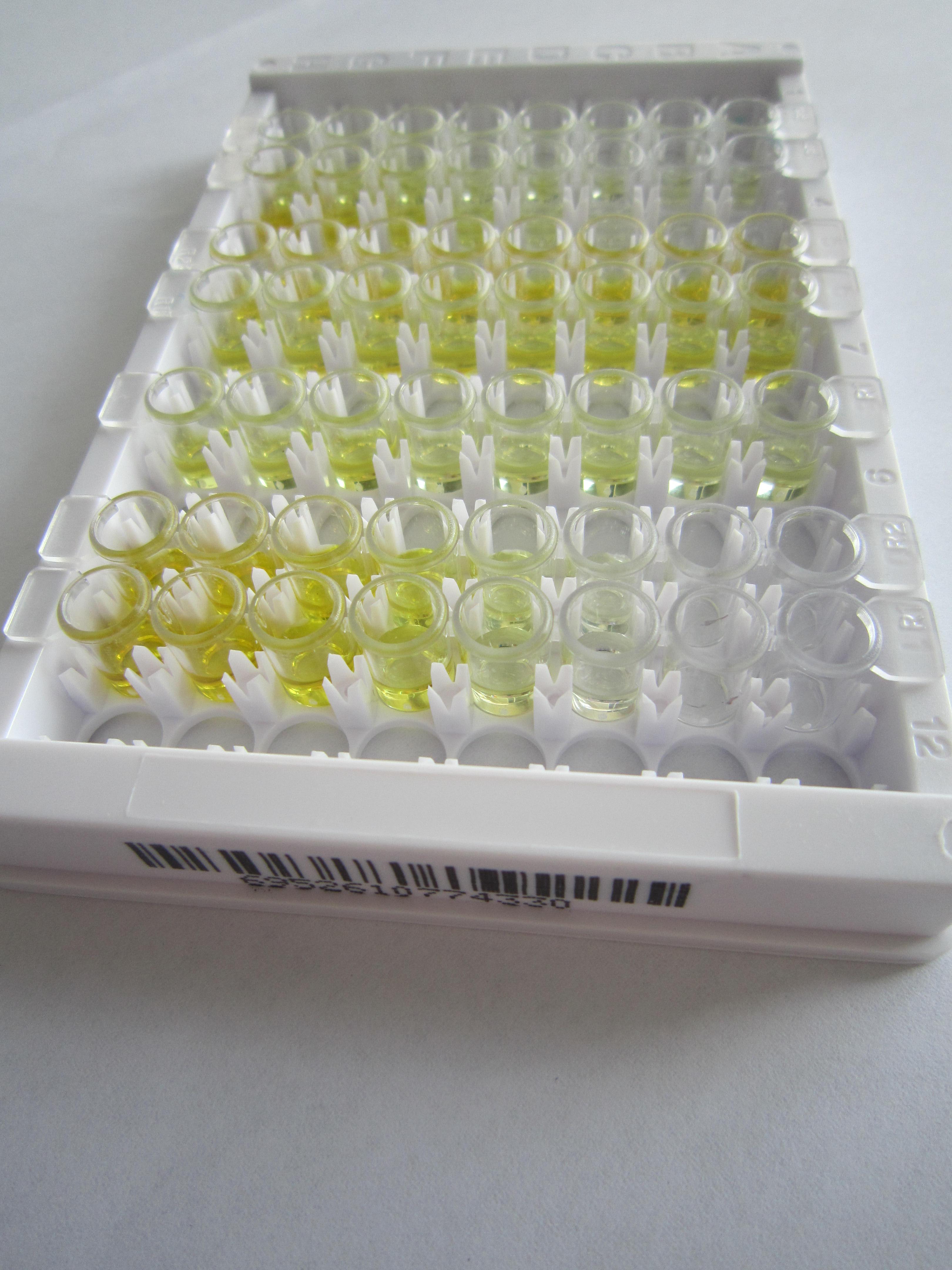 线粒体开放阅读框12S rRNA-C(MOTS-c)检测试剂盒(酶联免疫吸附试验法)