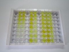 线粒体开放阅读框12S rRNA-C(MOTS-c)检测试剂盒(酶联免疫吸附试验法)
