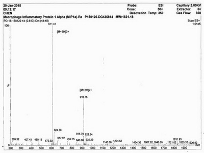 巨噬细胞炎性蛋白1α(MIP1a)卵白蛋白偶联物