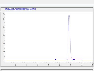 髓鞘碱性蛋白(MBP)卵白蛋白偶联物