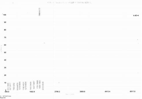 表皮生长因子(EGF)卵白蛋白偶联物