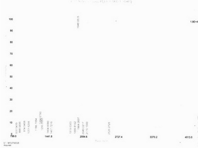 白介素1β(IL1b)牛血清白蛋白偶联物