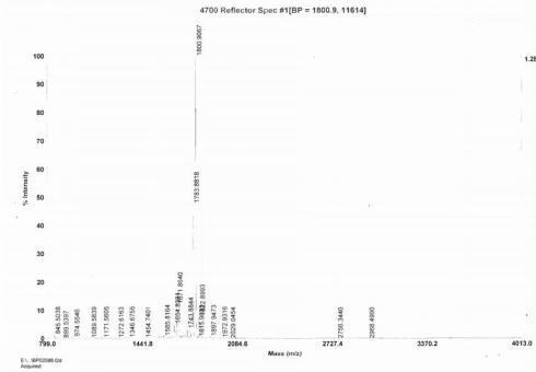 Ⅰ型膠原交聯(lián)氨基端肽(NTXI)牛血清白蛋白偶聯(lián)物