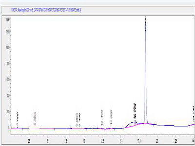 趋化因子C-X-C-基元受体6(CXCR6)卵白蛋白偶联物