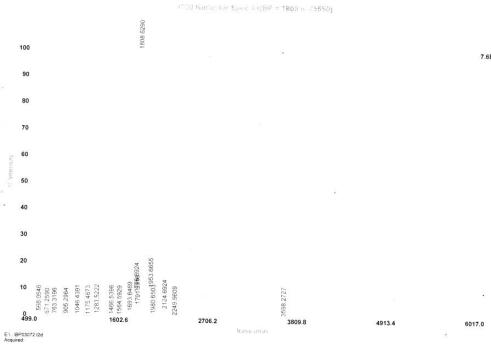 胰弹性蛋白酶(ELA1)卵白蛋白偶联物