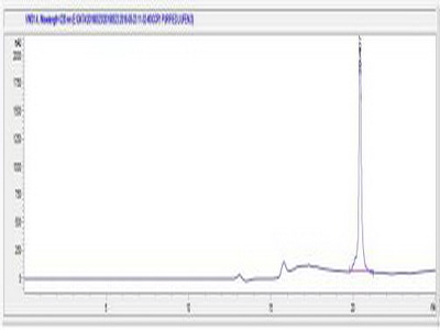 趋化因子C-C-基元受体1(CCR1)卵白蛋白偶联物