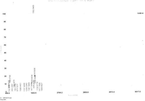 Ⅳ型胶原α4(COL4a4)卵白蛋白偶联物