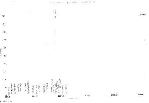 齿状片段同源框蛋白2(EN2)卵白蛋白偶联物