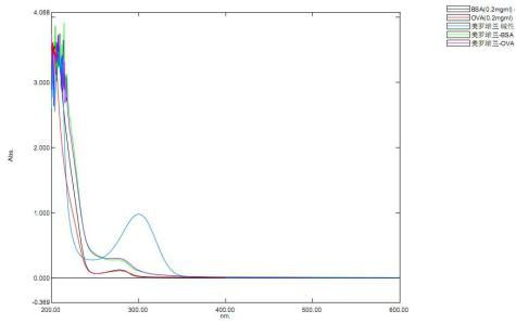 美罗培南(Mer)牛血清白蛋白偶联物