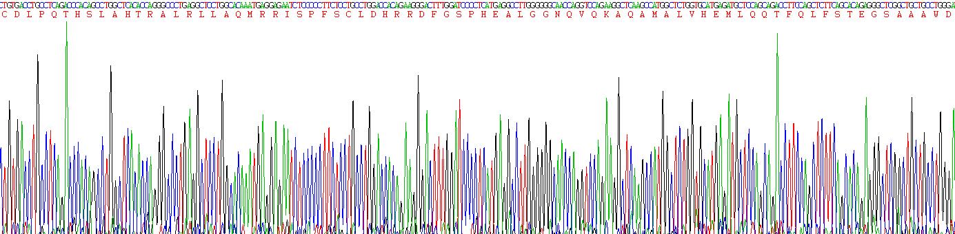 干扰素α(IFNa)真核蛋白