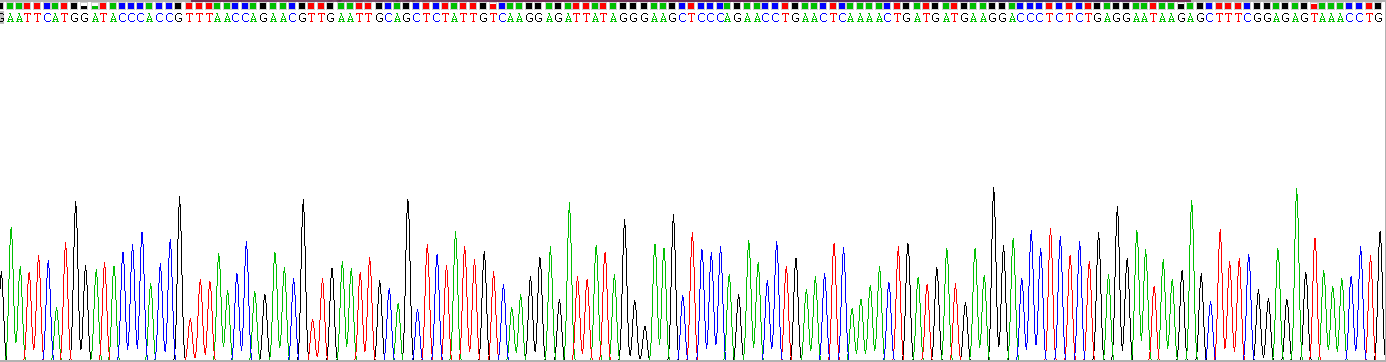 白介素3(IL3)真核蛋白
