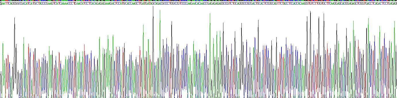 白介素4(IL4)真核蛋白
