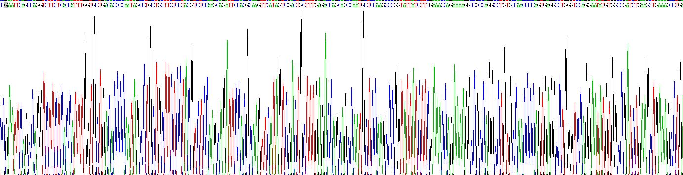 巨噬细胞炎性蛋白1α(MIP1a)真核蛋白