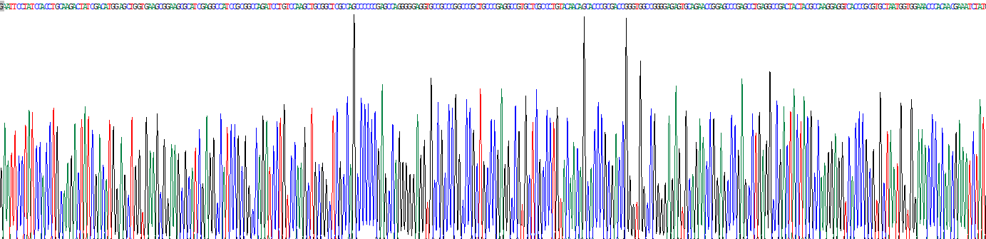 轉(zhuǎn)化生長因子β1(TGFb1)真核蛋白
