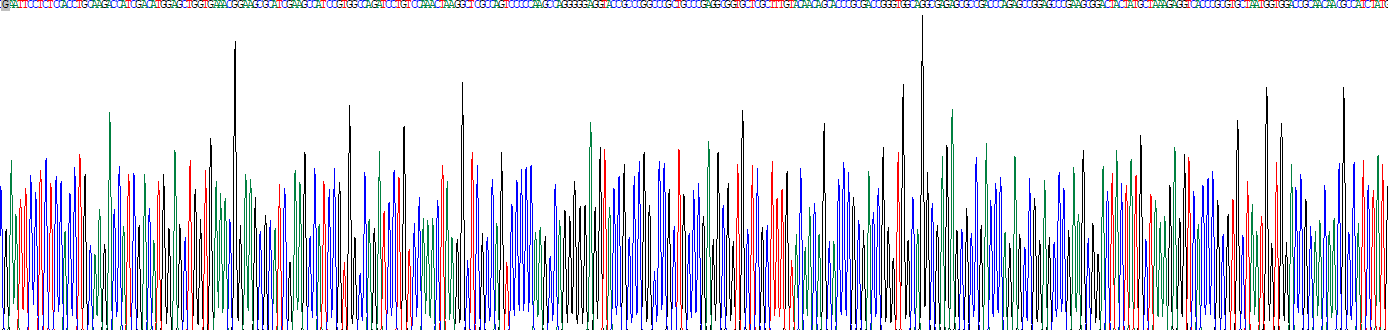 轉(zhuǎn)化生長(zhǎng)因子β1(TGFb1)真核蛋白