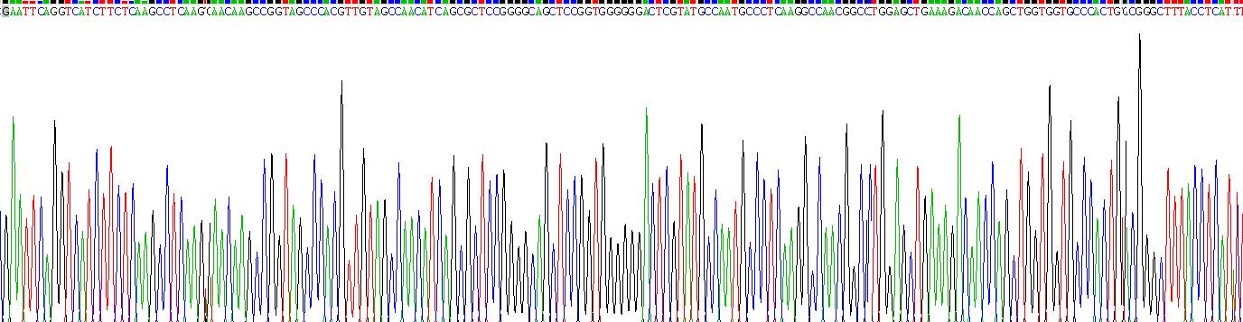 肿瘤坏死因子α(TNFa)真核蛋白