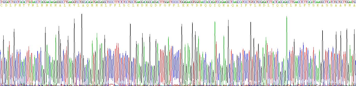 干扰素α2(IFNa2)真核蛋白