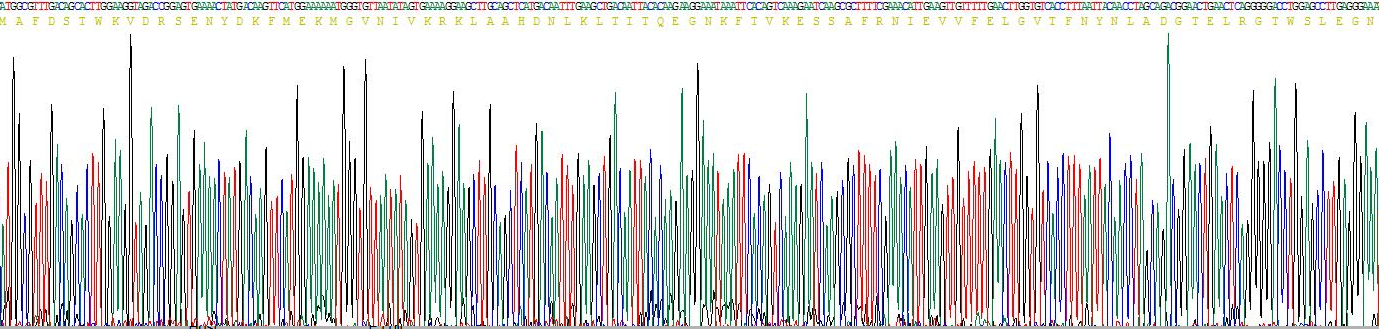 腸型脂肪酸結(jié)合蛋白(FABP2)真核蛋白