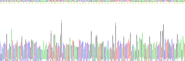 白介素1β(IL1b)真核蛋白