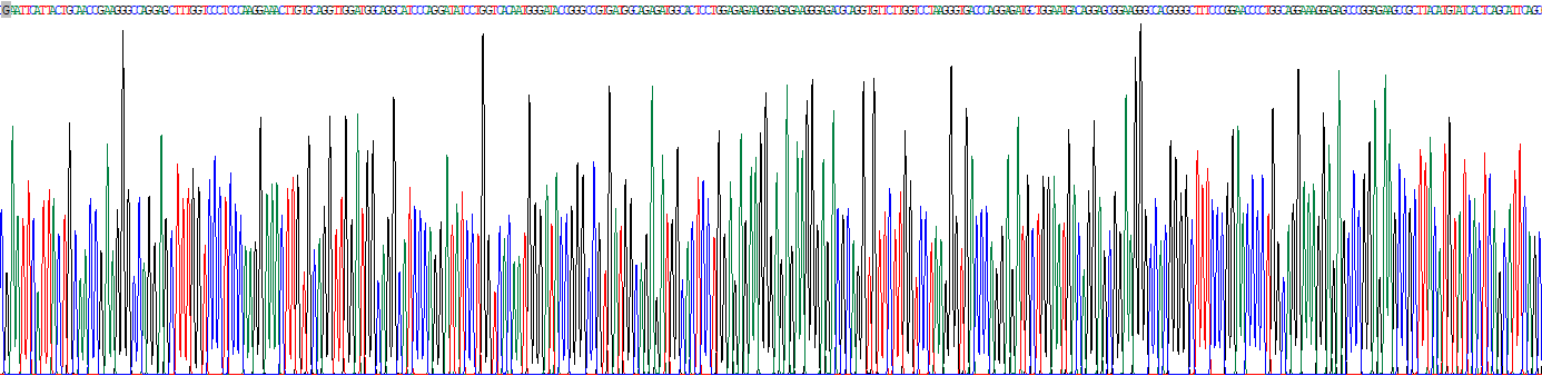 脂联素(ADPN)真核蛋白