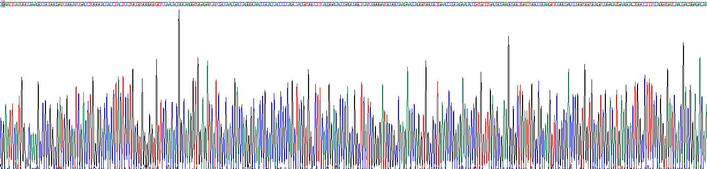 熱休克蛋白70(HSP70)真核蛋白