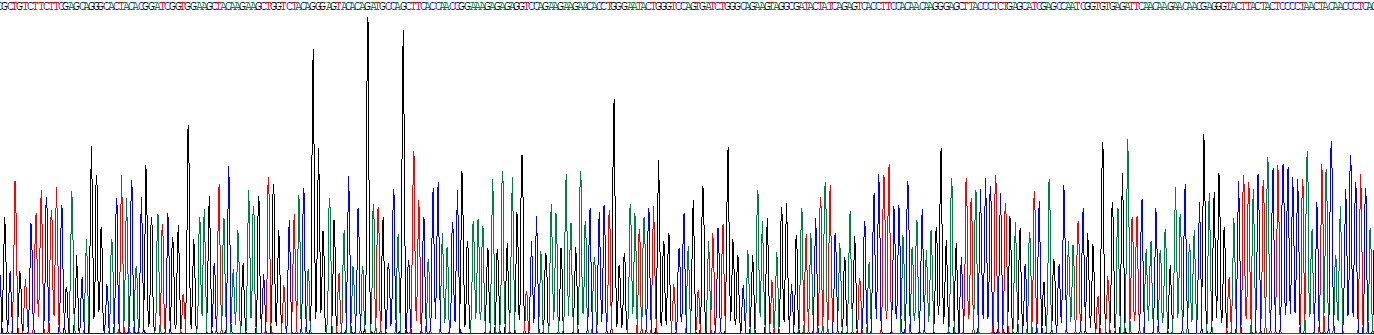 銅藍(lán)蛋白(CP)真核蛋白