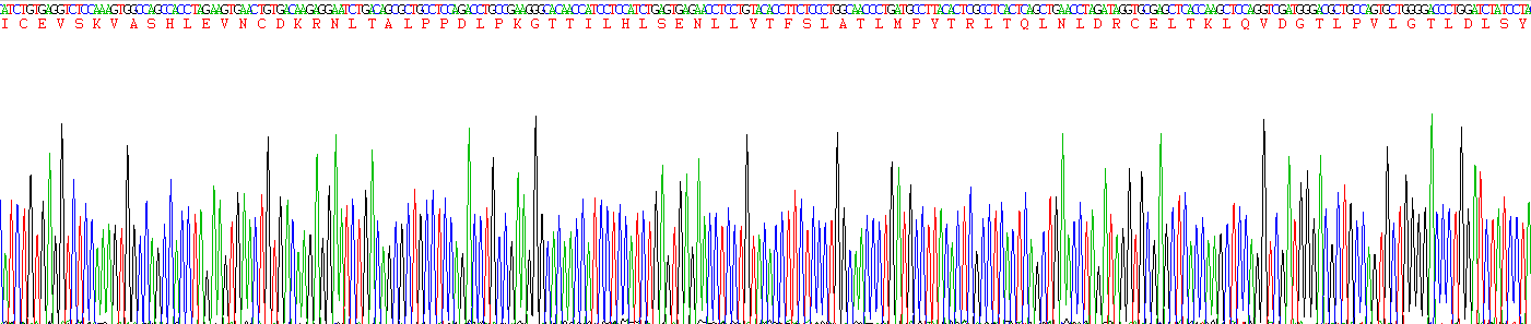 CD42b分子(CD42b)真核蛋白