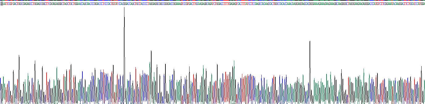 肝素結(jié)合性表皮生長(zhǎng)因子(HBEGF)真核蛋白