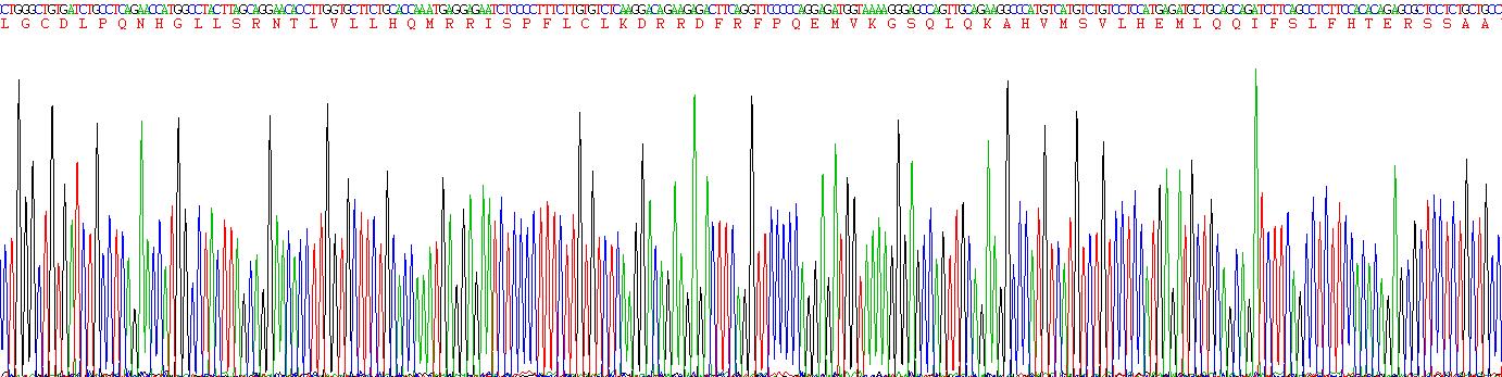 干扰素ω(IFNw)真核蛋白