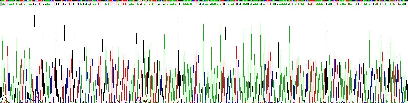 CD2分子(CD2)真核蛋白